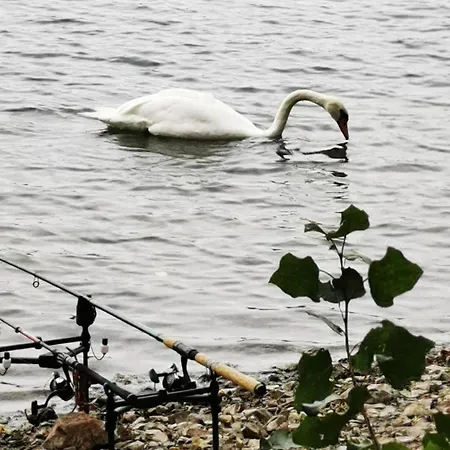 Haus Maisonette Am Harz Appartement