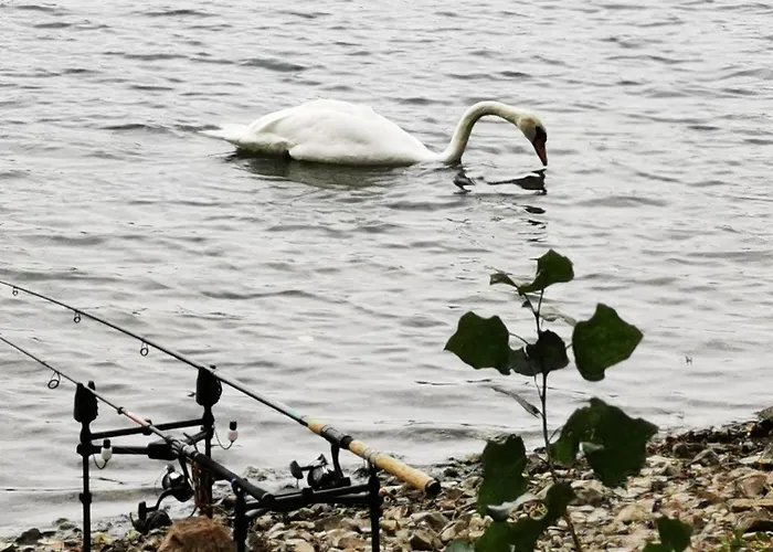 Haus Maisonette Am Harz Apartamento